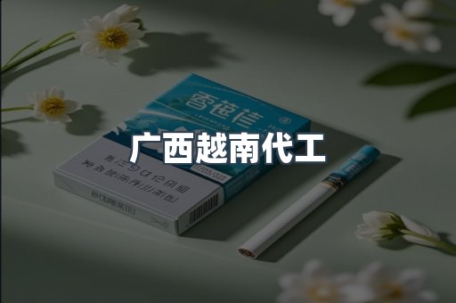 广西越南代工